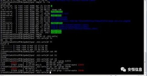 亚洲成AV人片一区二区三区